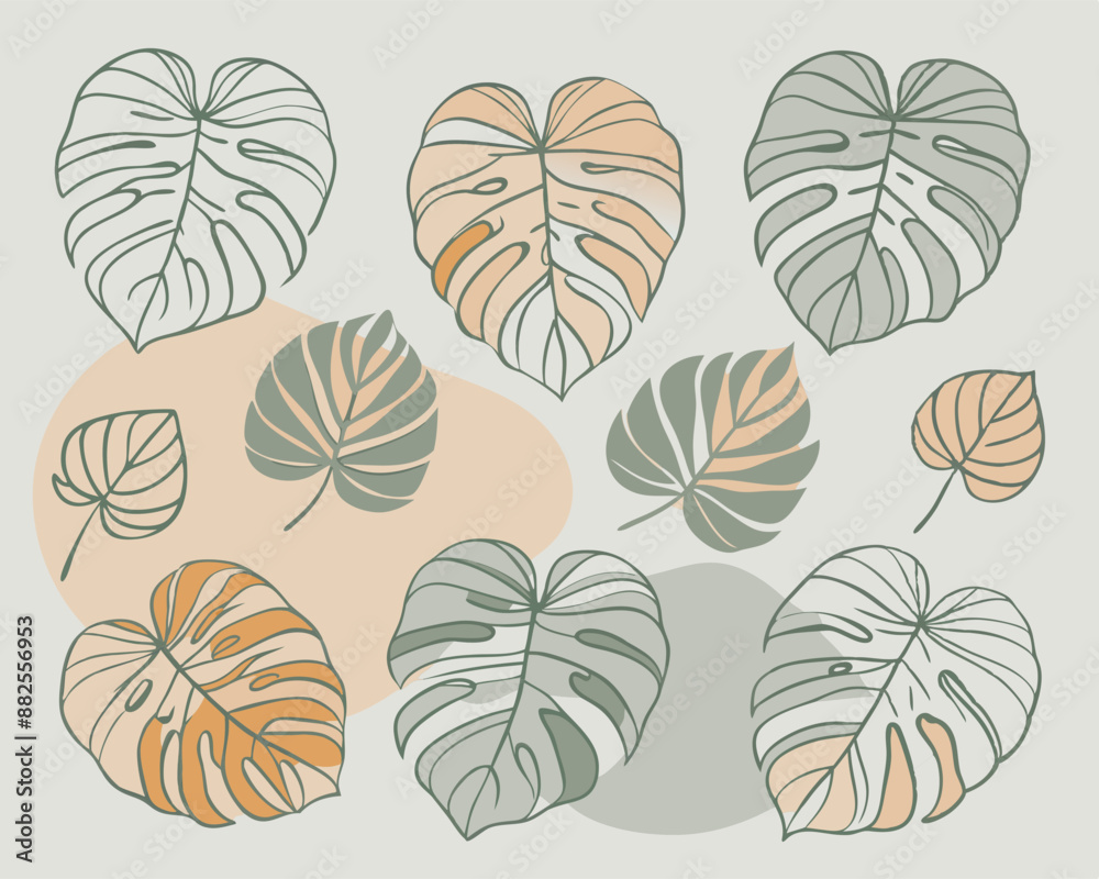 Obraz premium cute monstera v7