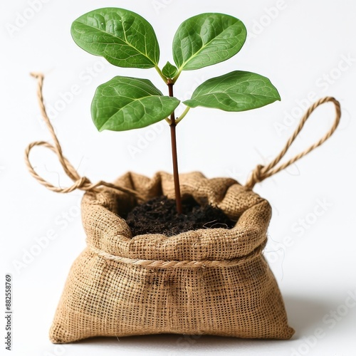 Eco-friendly grow bag, promoting sustainable and efficient plant growth practices. Single Object on white background photo