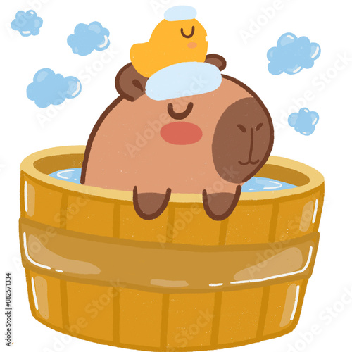 Capybara funny