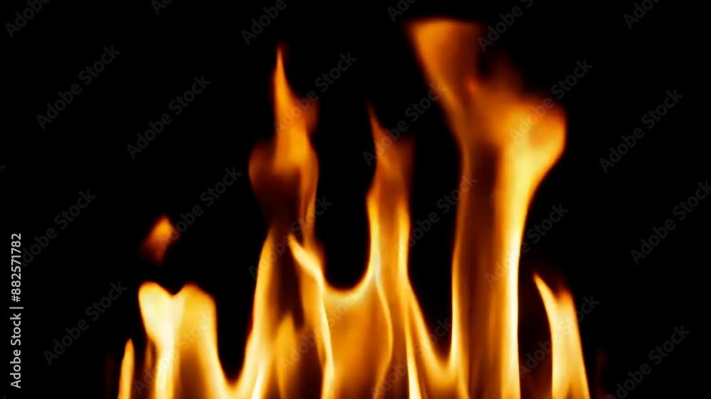 Flame Symphony: Loopable Detailed Flames with Alpha Matte