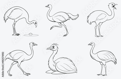 Elegant Emu, Exquisite Line Art Collection