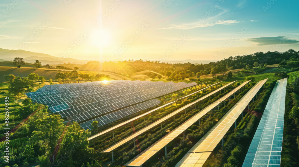 Fototapeta premium A sprawling solar farm with rows of solar panels gleaming under the bright sun, generating clean energy
