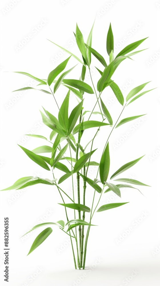 Fototapeta premium Green Plants in 3D Illustration for Eco-Friendly Presentations on White Background