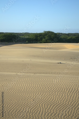 Los medanos de Coro son dunas de arena que movidas por los fuertes vientos de la peninsula toman formas muy caracteristicas. photo