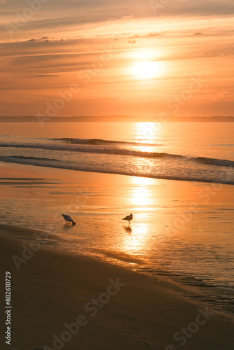 Seagulls enjoying the early sunrise in Old Orchard Beach, Maine.