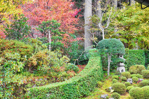 京都　大原　三千院　聚碧園（しゅうへきえん）秋の美しい紅葉（日本京都府京都市）
Beautiful autumn foliage at Shuhekien（Shuheki-en Garden),Sanzenin Temple（Sanzen-in Temple
）, Ohara, Kyoto (Kyoto City, Kyoto Prefecture, Japan)
 photo