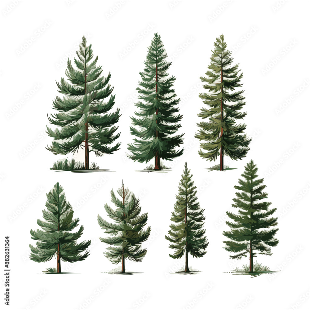 Deodar Cedar A Collection of Modern Illustrations of Trees Generative AI Deodar Cedar A Collection of Modern Illustrations of Trees Generative AI
