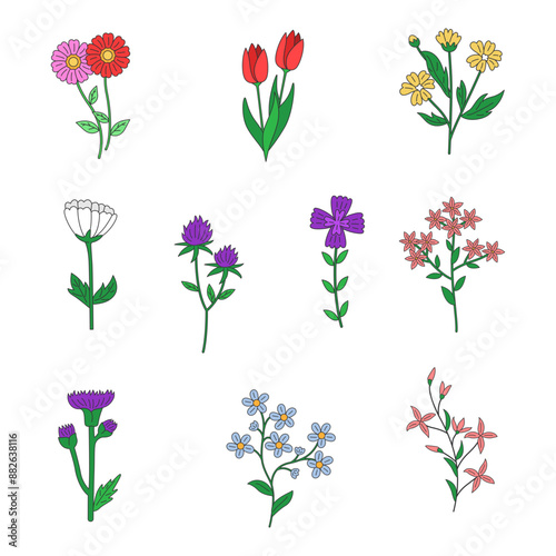 flower illustration