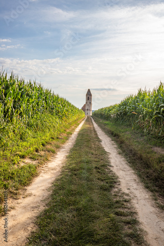 Old Catholic church, ruins in the middle of the corn field. Landscape shot at sunset Pusztatorony Hager, Somogyvámos Balaton, Hungary photo