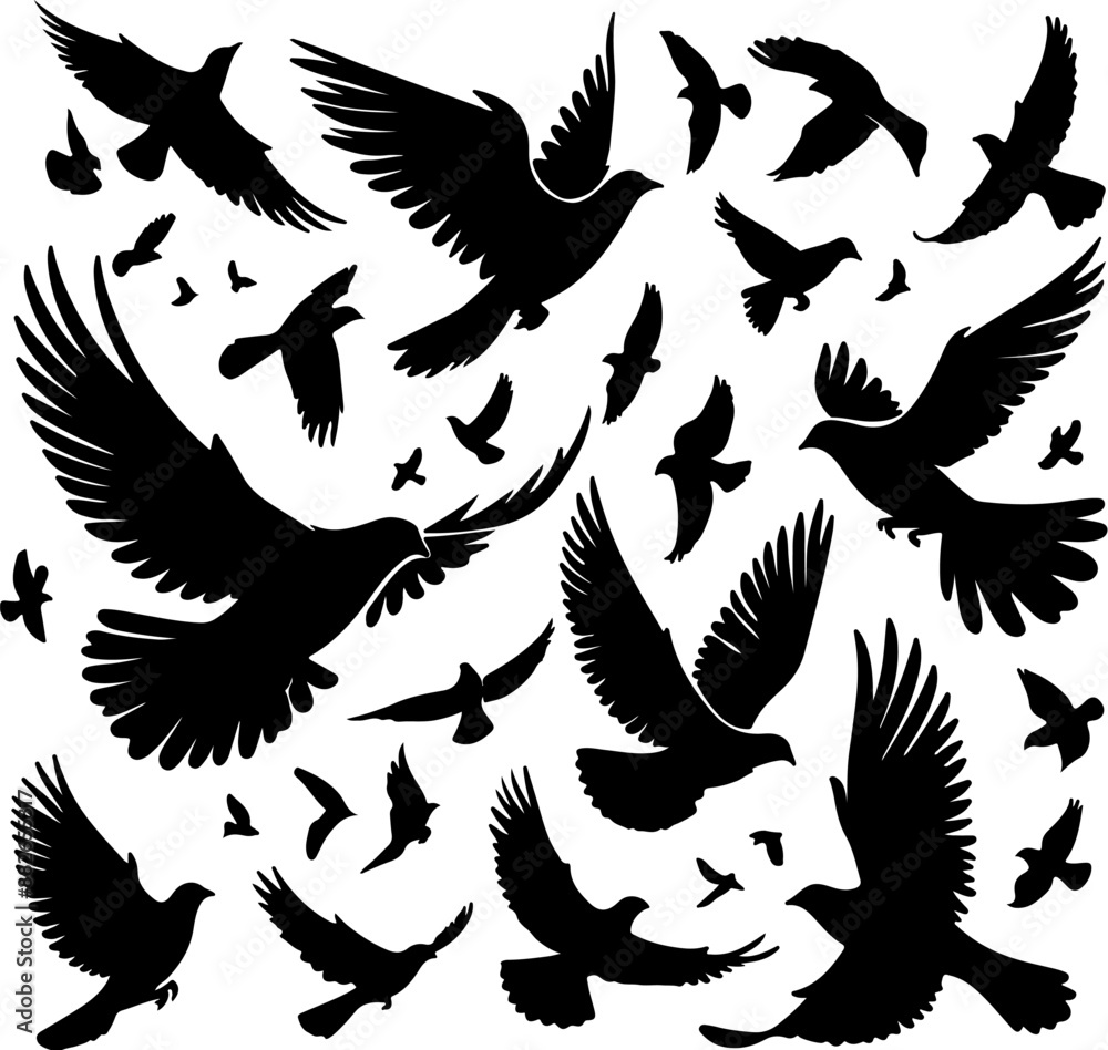 Obraz premium Adobe Illustrator Artwork