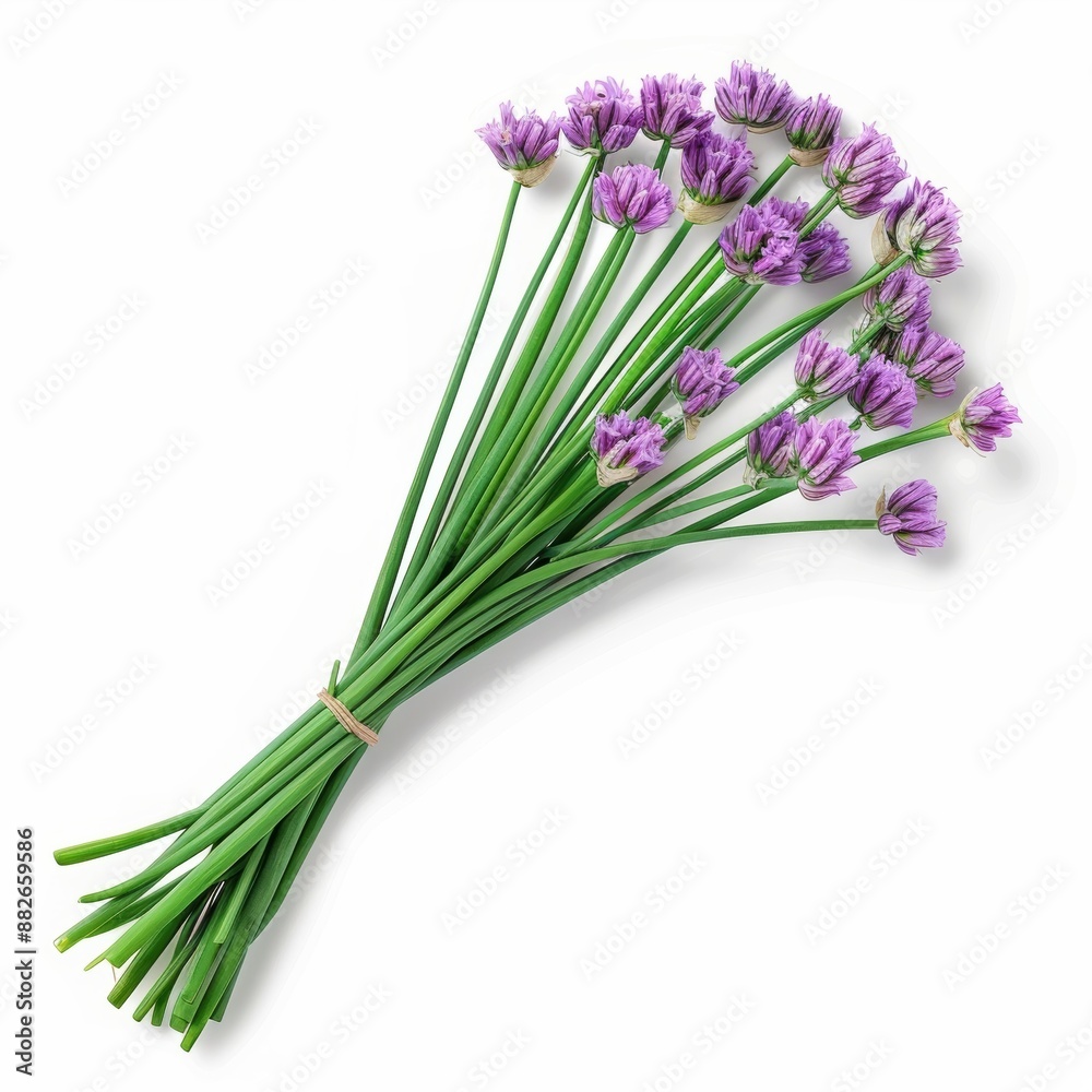 Naklejka premium A bunch of fresh chives with purple flowers isolated on a white background.