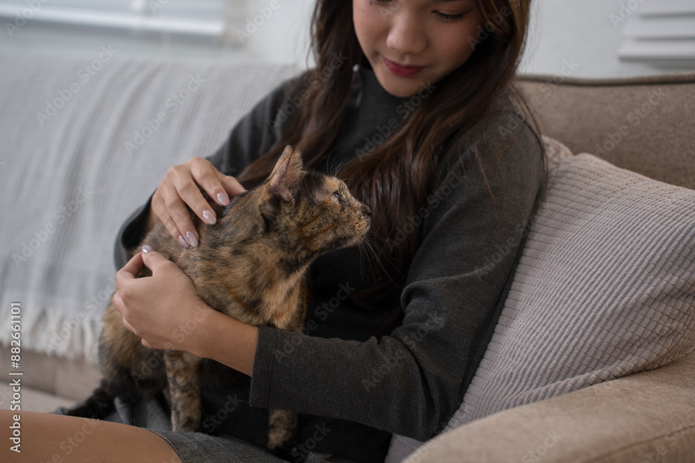  woman kneeling beside a couch, playfully interacting with her tortoiseshell cat sitting on the couch. The living room setting is warm