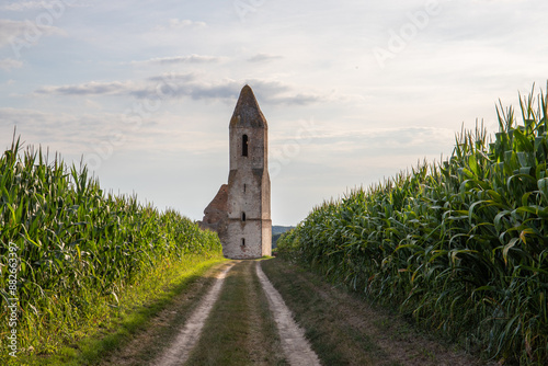 Old Catholic church, ruins in the middle of the corn field. Landscape shot at sunset Pusztatorony Hager, Somogyvámos Balaton, Hungary photo