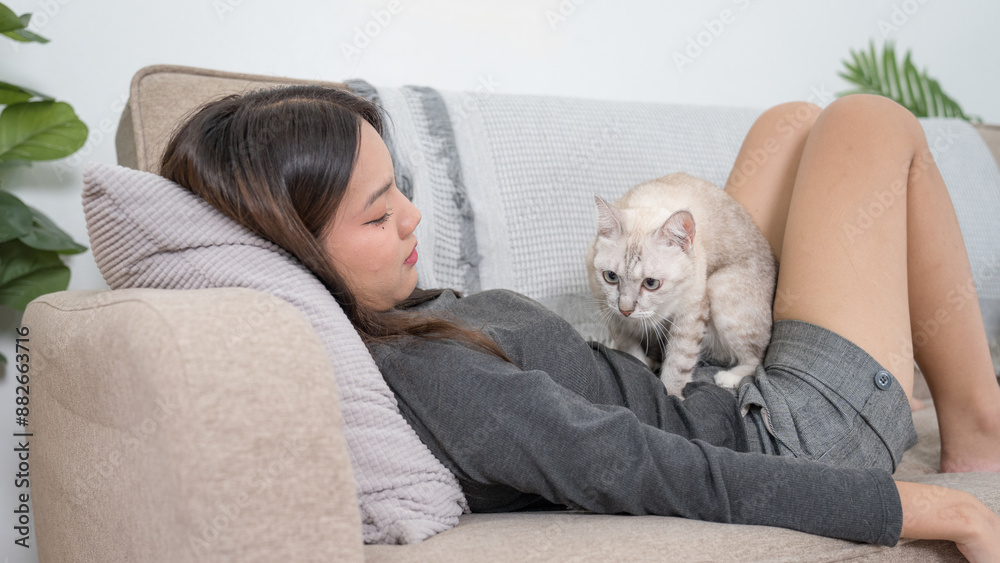 custom made wallpaper toronto digitalA woman reclining on a couch with her white cat resting on her legs. The setting is relaxed and comfortable