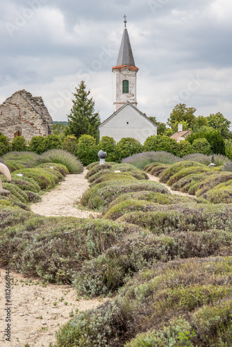 Old Catholic church, in front of it a lavender field. Landscape shot at sunset Levendárium Dörgicsei Levendula Major, Balaton, Hungary photo