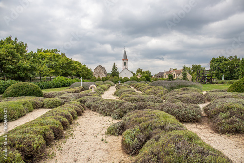 Old Catholic church, in front of it a lavender field. Landscape shot at sunset Levendárium Dörgicsei Levendula Major, Balaton, Hungary photo