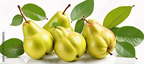 A bountiful assortment of juicy pears highlighted by their beautiful, contrasting green foliage
