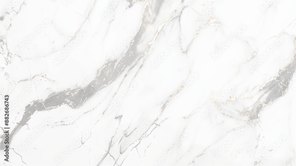 White background marble wall texture for design art work,Marble texture Marble background White marble, Marble granite white panorama background wall surface black pattern graphic abstract, White background marble wall texture for design art work,Marble texture Marble background White marble, Marble granite white panorama background wall surface black pattern graphic abstract,
