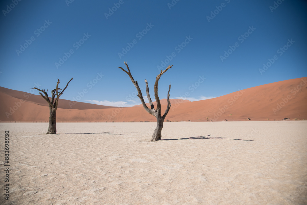 Deadvlei in the Namib-Naukluft National Park Deadvlei in the Namib-Naukluft National Park