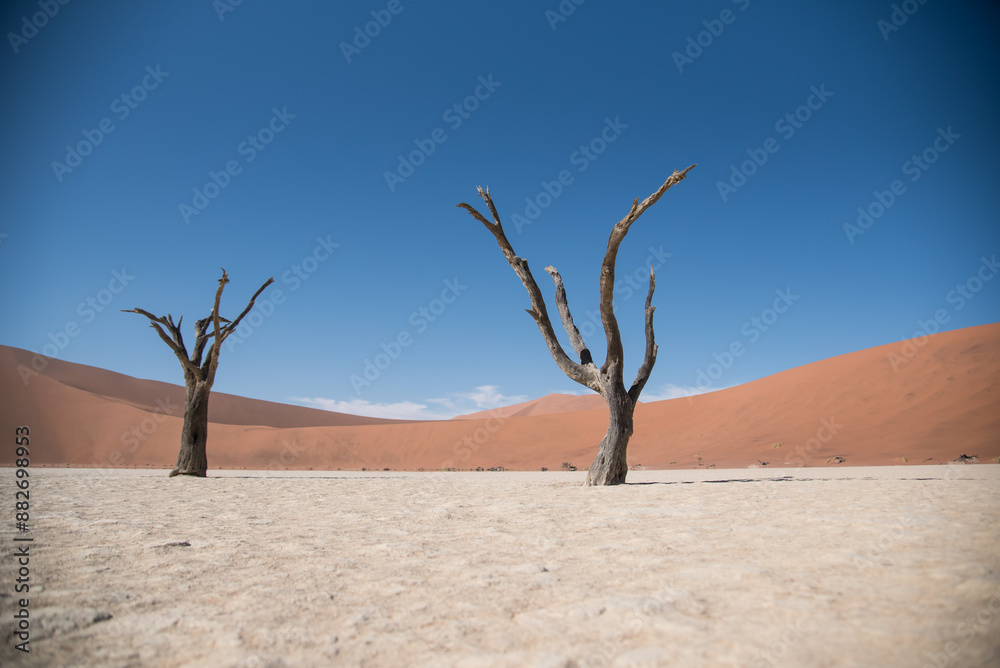 Deadvlei in the Namib-Naukluft National Park Deadvlei in the Namib-Naukluft National Park