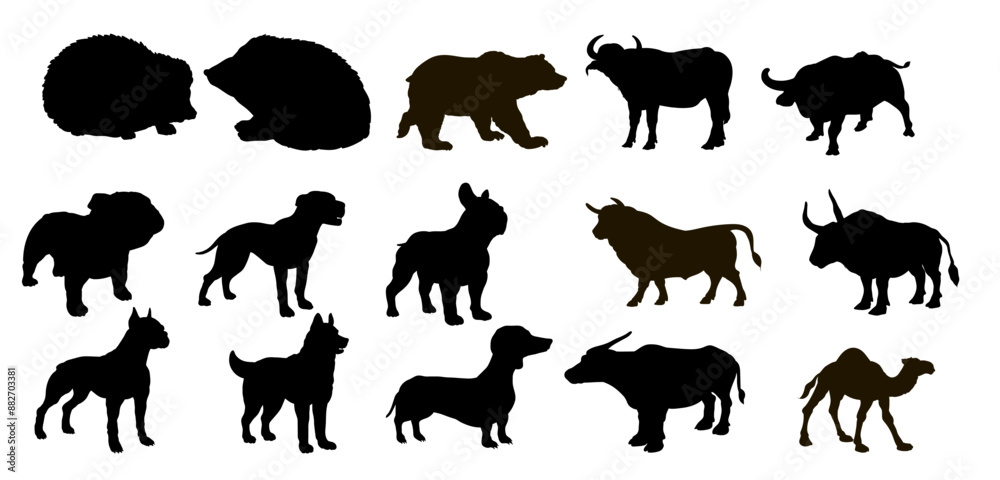 Fototapeta premium Vector drawing. Black and white image, animal silhouette, stamp.