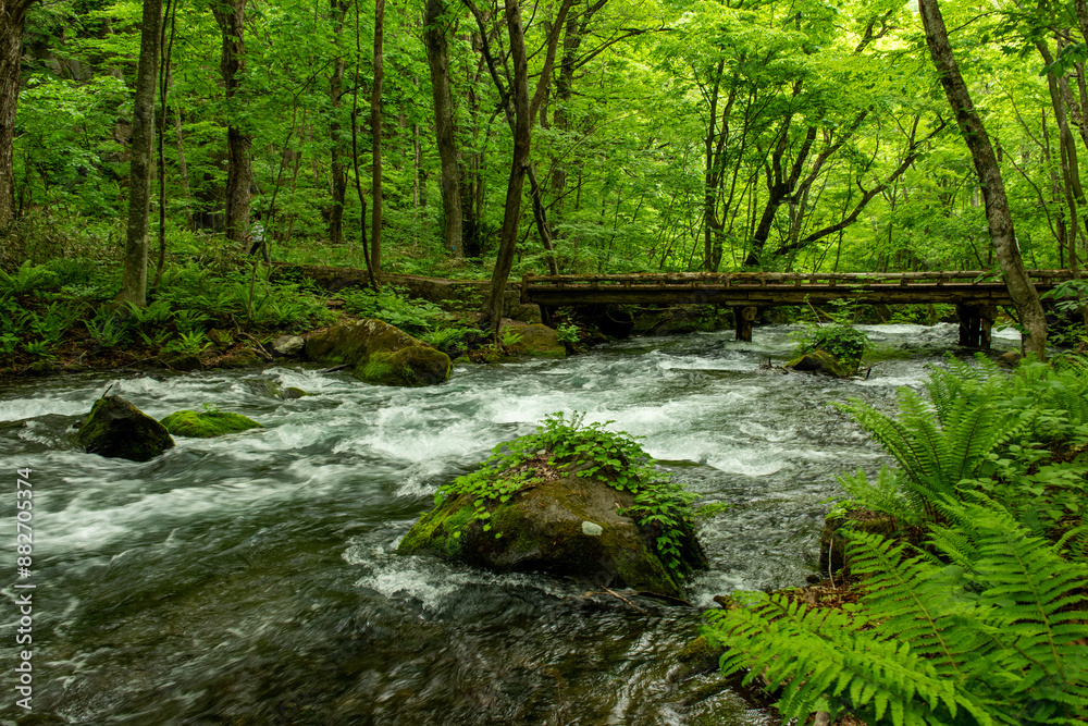 Obraz premium 森の中の激しい川の流れと木造の橋