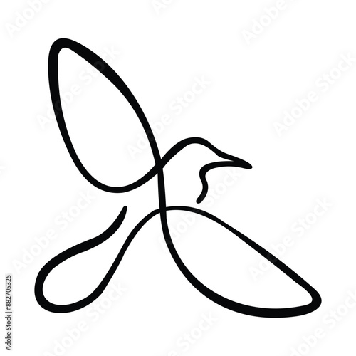 bird logo design
