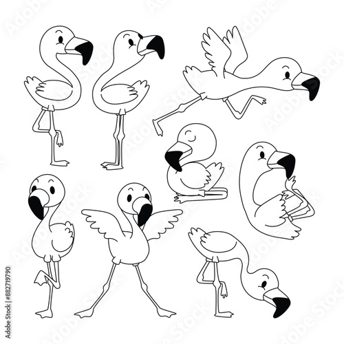 Set of flamingo doodle collection, flamingo outline coloring page book animals for kindergarten, Vector line art set of animals wildlife, Hand drawn, Minimal flamingo line art doodle in different pose