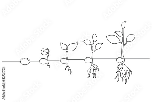 Continuous one line drawing Plant growth process Vector illustration