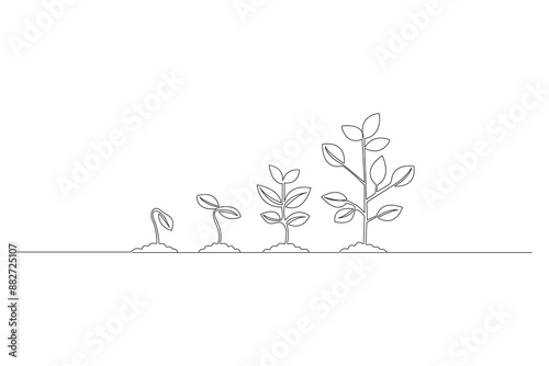 Continuous one line drawing Plant growth process Vector illustration