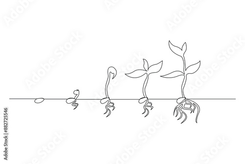 Continuous one line drawing Plant growth process Vector illustration