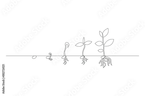Continuous one line drawing Plant growth process Vector illustration