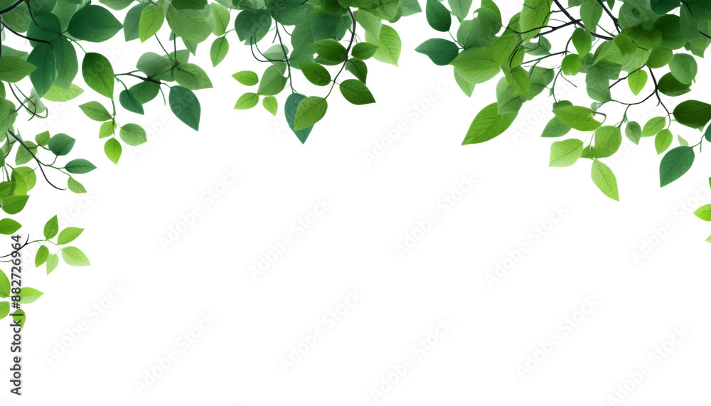 green leaves frame isolated on transparent background cutout green leaves frame isolated on transparent background cutout