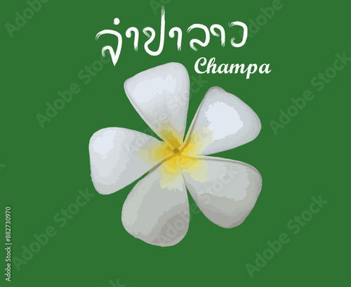 Champa Laos, vevtor champa, illustration champa, EPS Champa, LAOS, photo