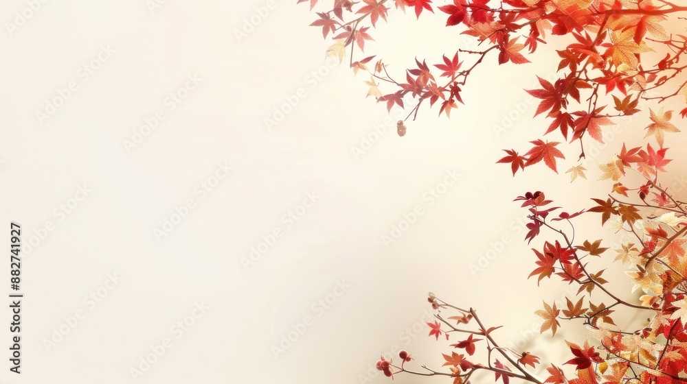 Fall Leaf Frame. Autumn falling maple leaves isolated on white background. Fall foliage wallpaper Fall Leaf Frame. Autumn falling maple leaves isolated on white background. Fall foliage wallpaper