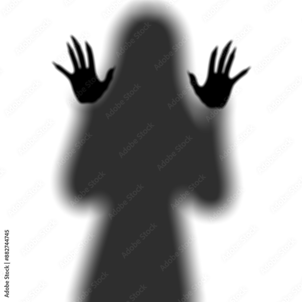 Obraz premium silhouette of a woman