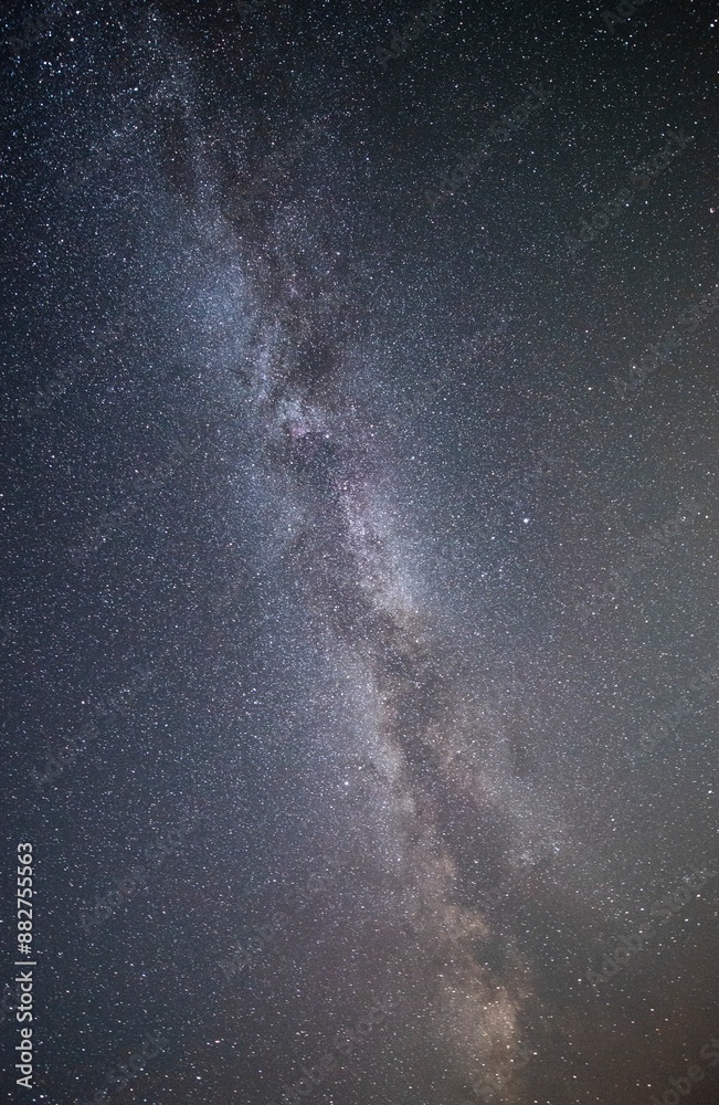 Fototapeta premium 夜空に輝く夏の星座と天の川