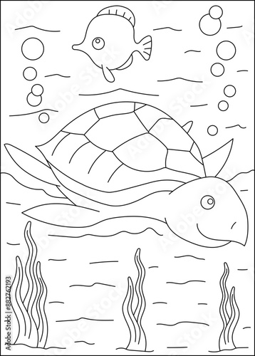 Photography turtle sea animal coloring book page