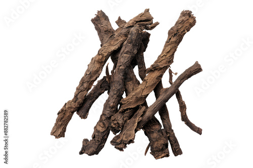 Photo of Alkanet root isolated on transparent background