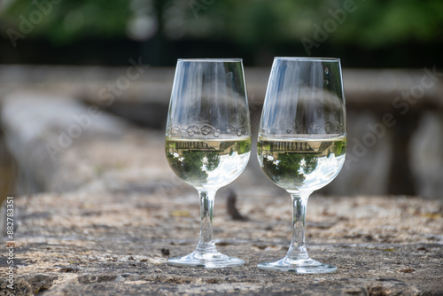 Glasses of white wine in old wine domain on Sauternes vineyards in Barsac village and old castle on background, Bordeaux, France photo