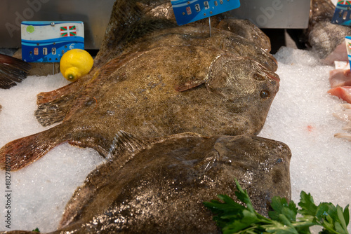 Turbot fish on ice on market, highly prized fish for its delicate flavour, brat, breet, britt, or butt fish photo