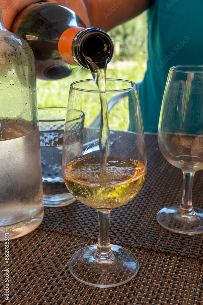 Obraz premium Tasting of Bordeaux white wine in Sauternes, left bank of Gironde Estuary, France. Glasses of white sweet French wine served in restaurant