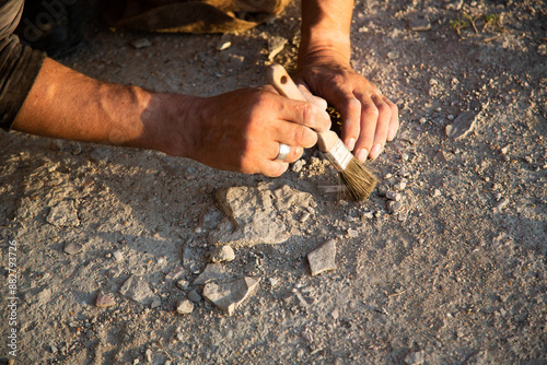An archaeologist cleans a found artifact in the form of bones with a brush. Historical reconstruction of archaeological research of the 19th century. Close-up of hands