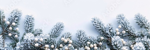 Snowy Pine Branches With White Berries Bordering White Background