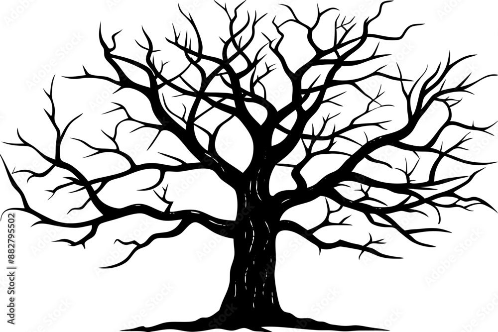 Fototapeta premium Dead Tree Silhouette Vector, Silhouette of a leafless tree, branches. Vector illustration