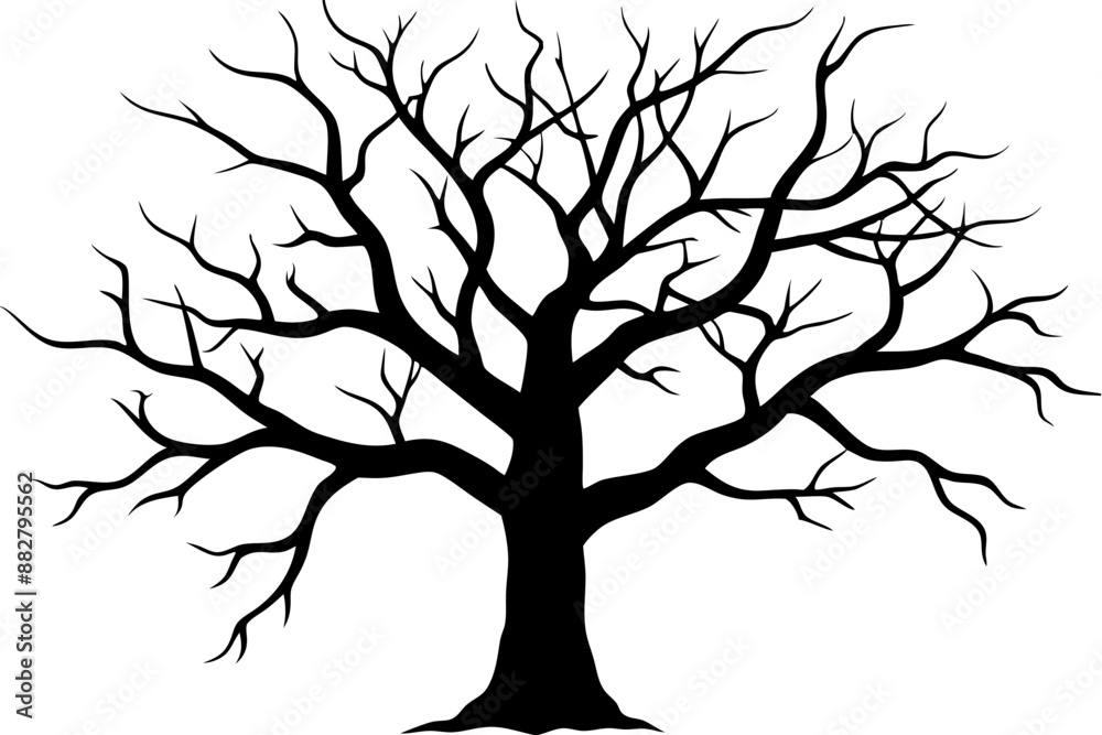 Obraz premium Dead Tree Silhouette Vector art, Scary Trees black Silhouette, Forest Tree without leaves black and white clipart Collection