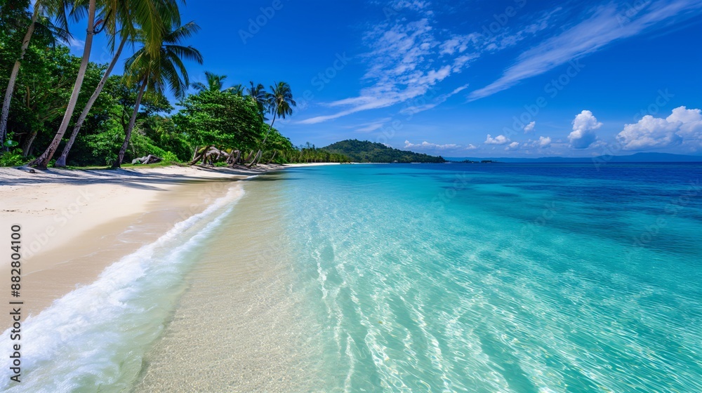 A pristine tropical beach with white sand. A pristine tropical beach with white sand.