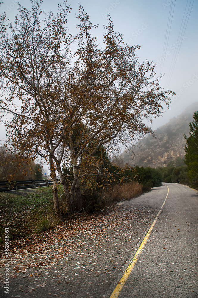 Fototapeta premium carretera abandonada