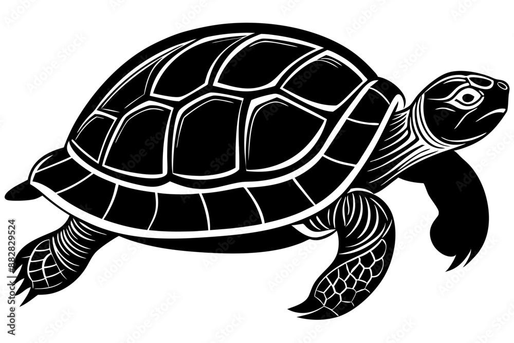 Turtle marine animal icon. Sea turtle silhouette. vector illustration
Turtle marine animal icon. Sea turtle silhouette. vector illustration