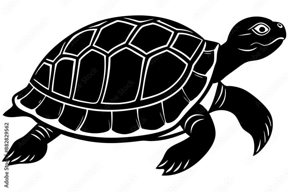 Turtle marine animal icon. Sea turtle silhouette. vector illustration
Turtle marine animal icon. Sea turtle silhouette. vector illustration
